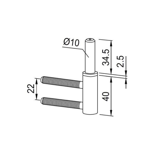 Pivote DO81042400099