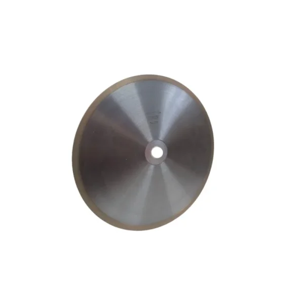 Disco diamante DDI300P